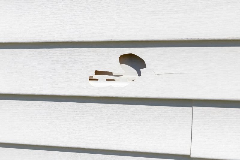 Vinyl Cladding Repair