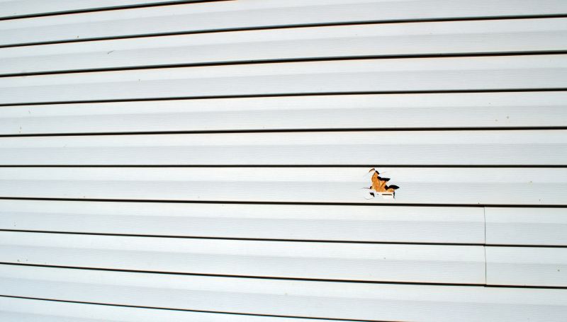 Vinyl Siding Repair