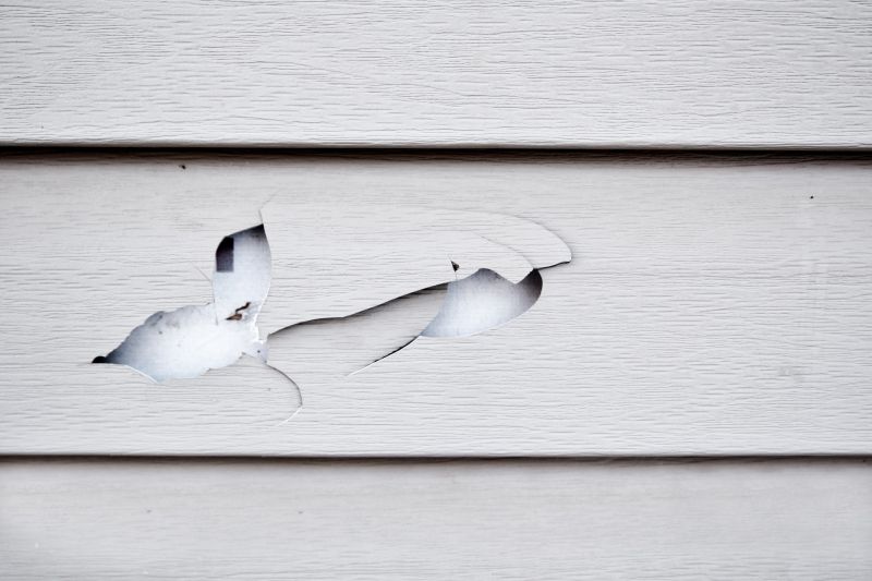 Vinyl Siding Repair